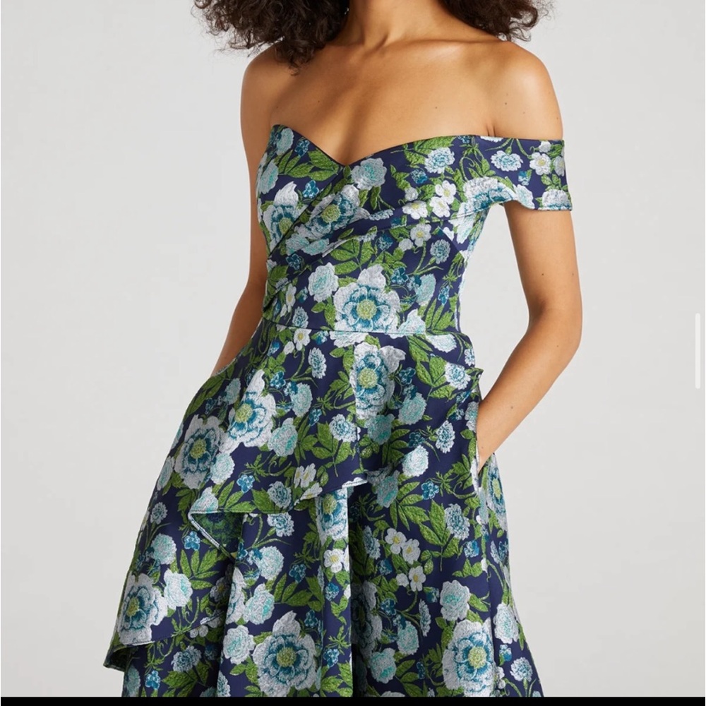 Theia Embroidered Dress - Picture 3 of 9